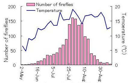 Temperature and firefly abundance in Ishinoyu