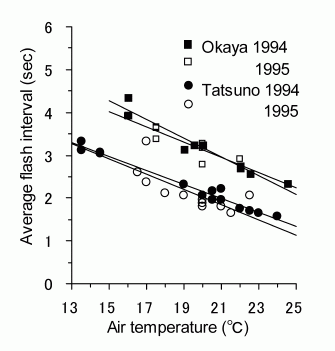 気温に影響される発光周期