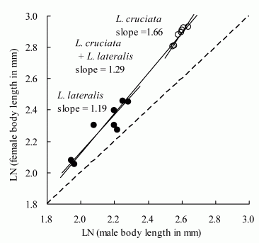 The relationship between male and female body size are shown.