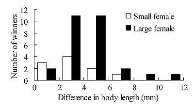 Larger males win fights.