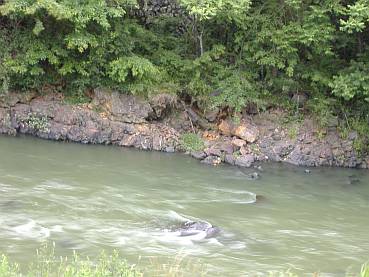 Mesozoic slate of the Mino belt along Tenryu River