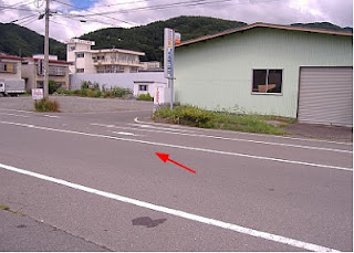 下諏訪町のウスバキトンボその1